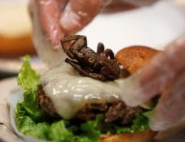 hamburguesas de grillo