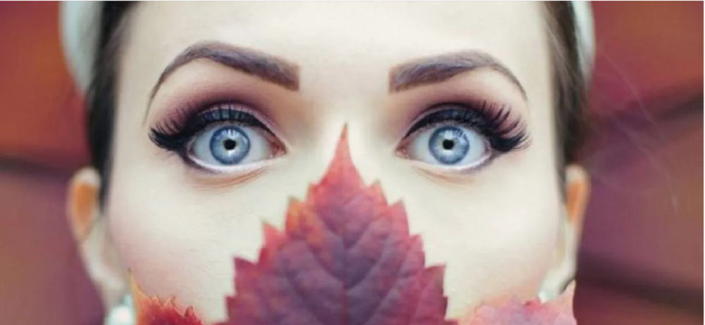 cuatro tendencias de cejas
