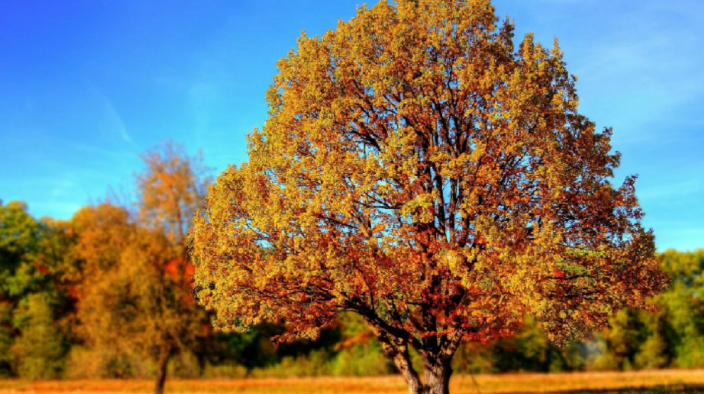 equinoccio de otoño